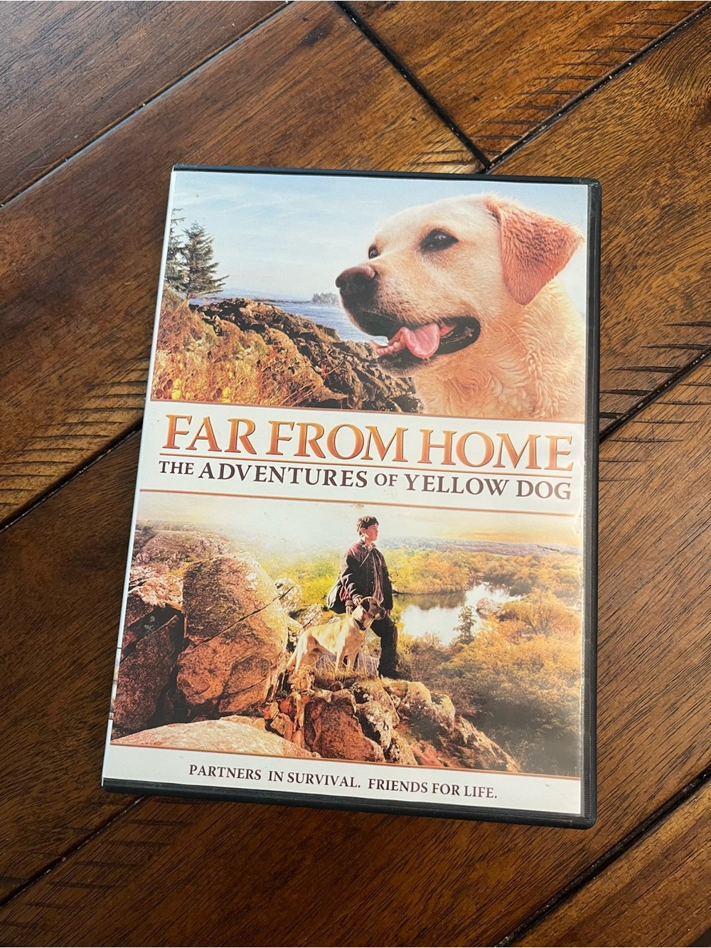 Far From Home DVD